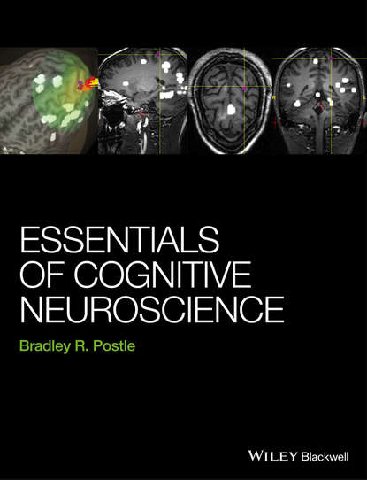 Скачать книгу Essentials of Cognitive Neuroscience