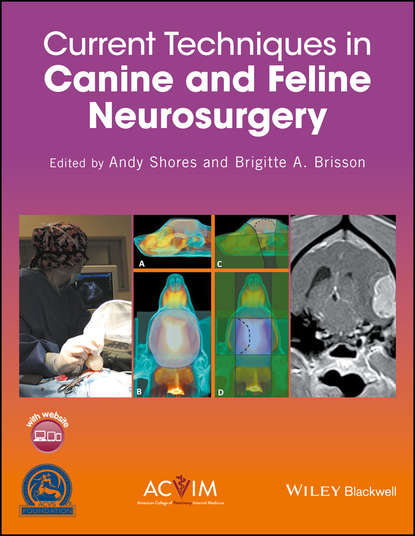 Скачать книгу Current Techniques in Canine and Feline Neurosurgery