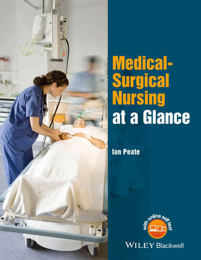 Скачать книгу Medical-Surgical Nursing at a Glance