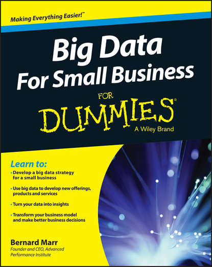 Скачать книгу Big Data For Small Business For Dummies