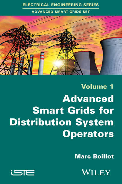 Скачать книгу Advanced Smartgrids for Distribution System Operators