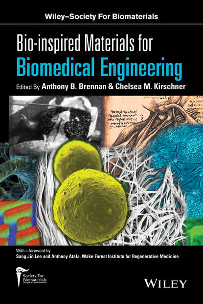 Скачать книгу Bio-inspired Materials for Biomedical Engineering
