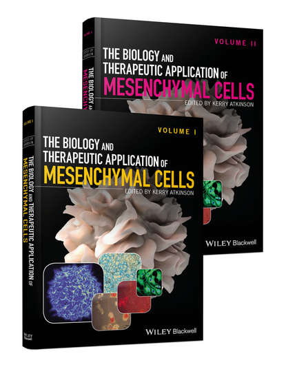 Скачать книгу The Biology and Therapeutic Application of Mesenchymal Cells - Set