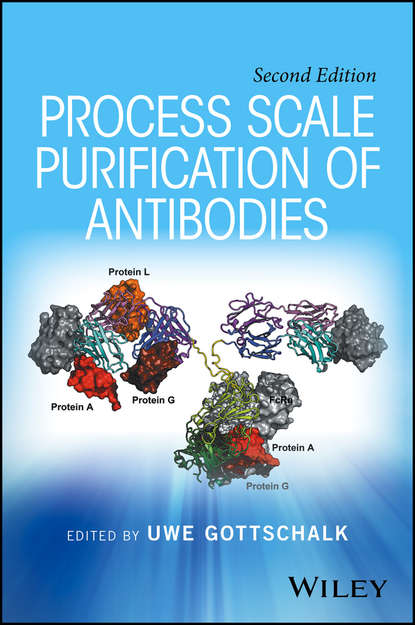 Скачать книгу Process Scale Purification of Antibodies