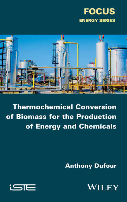 Скачать книгу Thermochemical Conversion of Biomass for the Production of Energy and Chemicals
