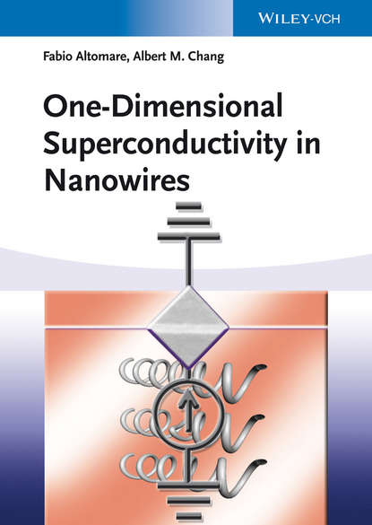 Скачать книгу One-Dimensional Superconductivity in Nanowires