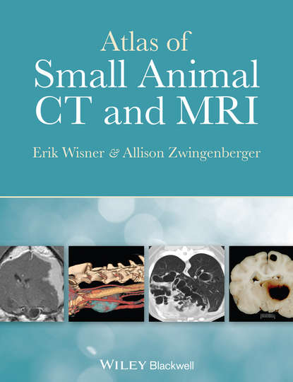 Скачать книгу Atlas of Small Animal CT and MRI