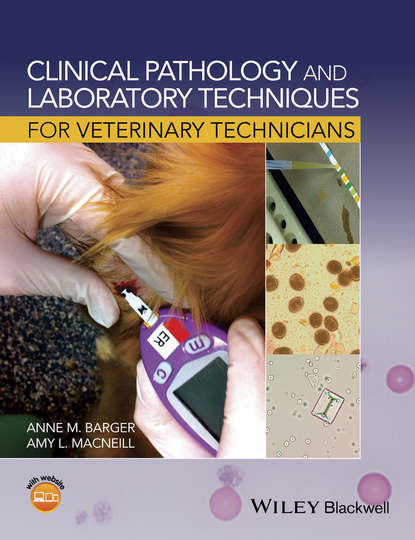 Скачать книгу Clinical Pathology and Laboratory Techniques for Veterinary Technicians