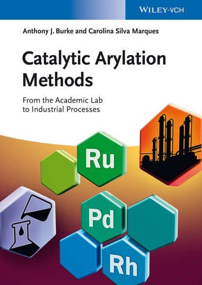Скачать книгу Catalytic Arylation Methods. From the Academic Lab to Industrial Processes