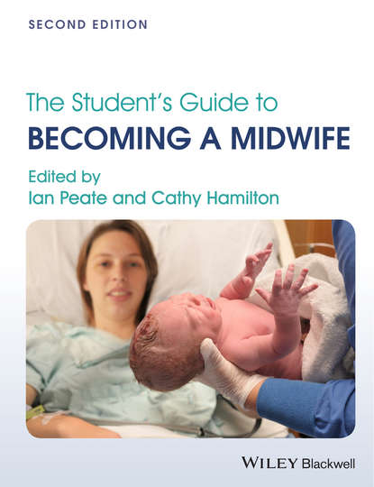 Скачать книгу The Student&apos;s Guide to Becoming a Midwife