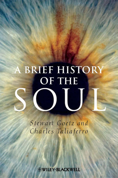 Скачать книгу A Brief History of the Soul