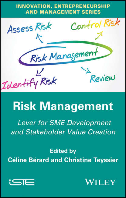 Скачать книгу Risk Management. Lever for SME Development and Stakeholder Value Creation