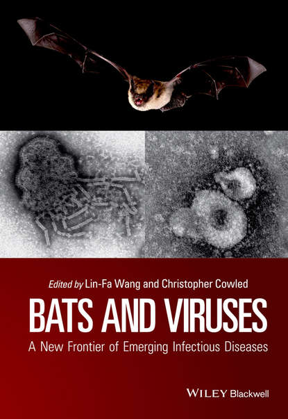 Скачать книгу Bats and Viruses. A New Frontier of Emerging Infectious Diseases