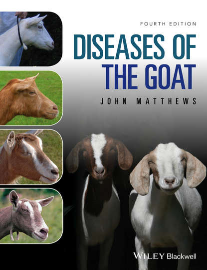 Скачать книгу Diseases of The Goat