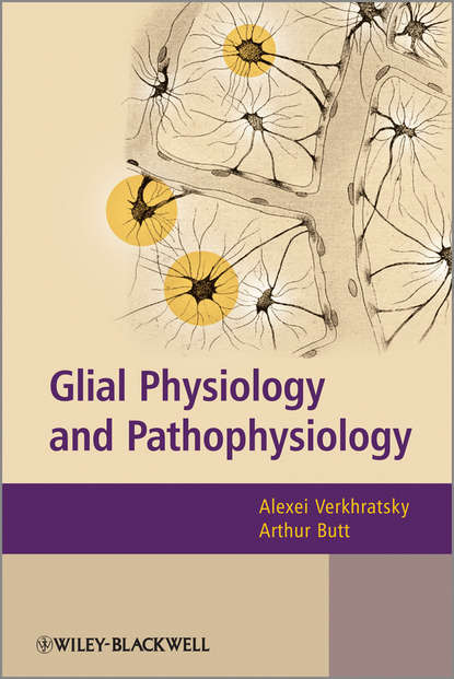 Скачать книгу Glial Physiology and Pathophysiology
