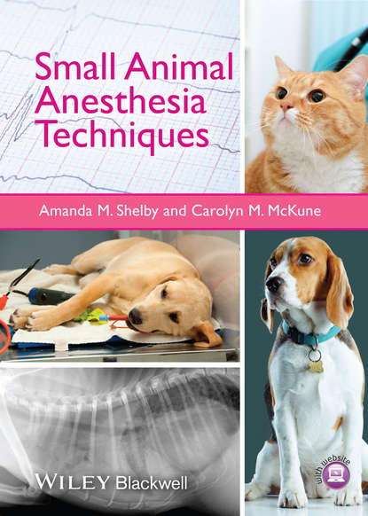Скачать книгу Small Animal Anesthesia Techniques
