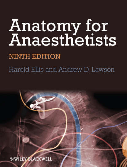 Скачать книгу Anatomy for Anaesthetists