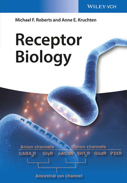 Скачать книгу Receptor Biology