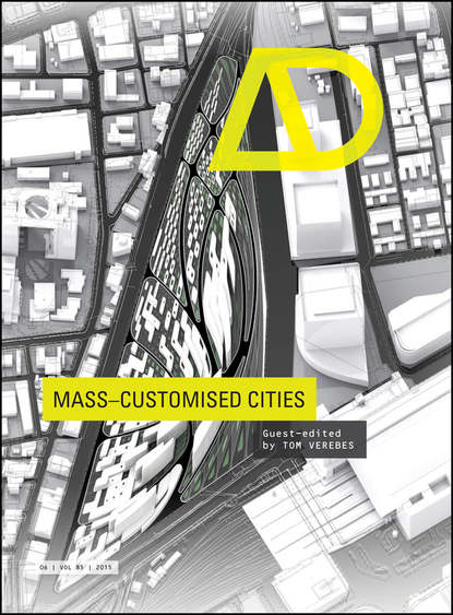 Скачать книгу Mass-Customised Cities