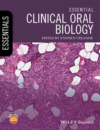 Скачать книгу Essential Clinical Oral Biology