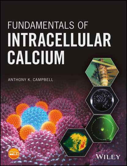 Скачать книгу Fundamentals of Intracellular Calcium