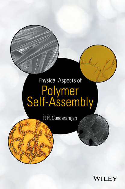 Скачать книгу Physical Aspects of Polymer Self-Assembly