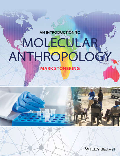 Скачать книгу An Introduction to Molecular Anthropology