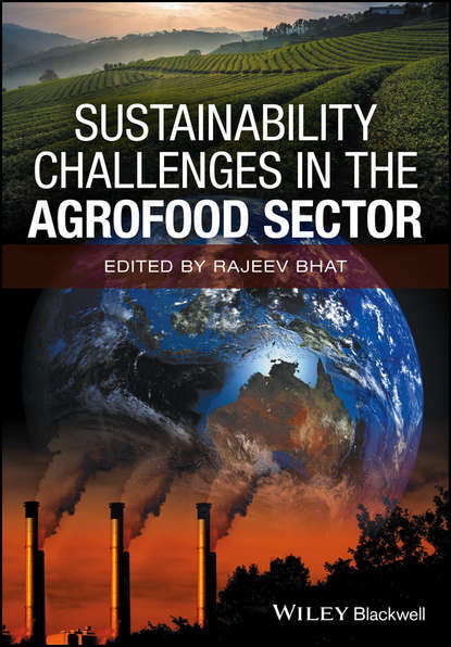 Скачать книгу Sustainability Challenges in the Agrofood Sector