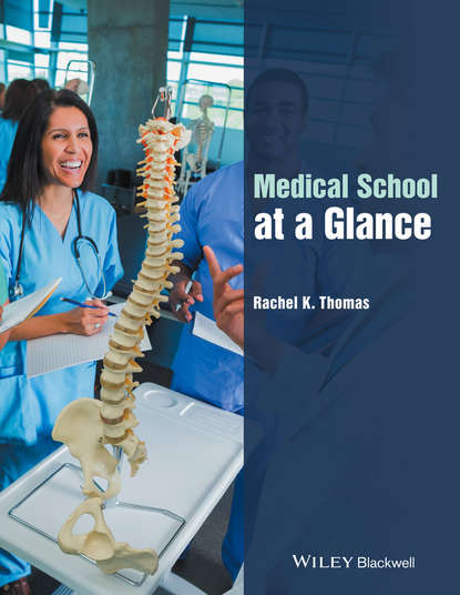 Скачать книгу Medical School at a Glance