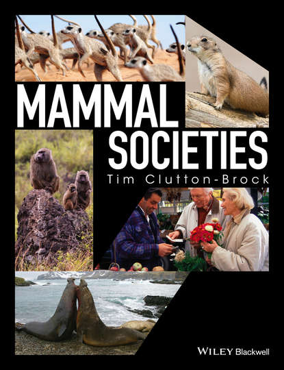 Скачать книгу Mammal Societies