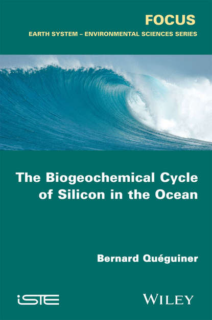 Скачать книгу The Biogeochemical Cycle of Silicon in the Ocean