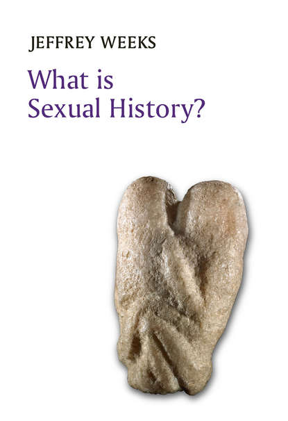 Скачать книгу What is Sexual History?