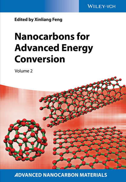 Скачать книгу Nanocarbons for Advanced Energy Conversion