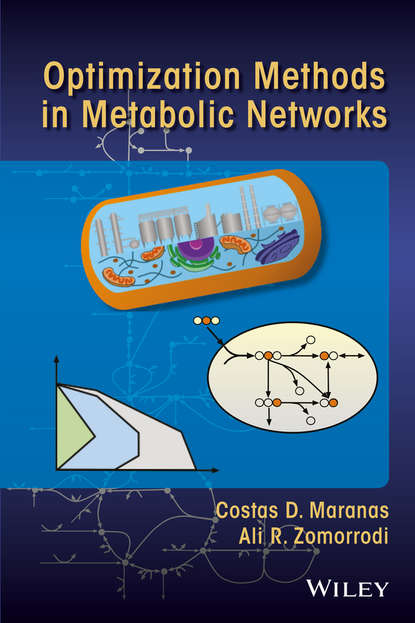 Скачать книгу Optimization Methods in Metabolic Networks