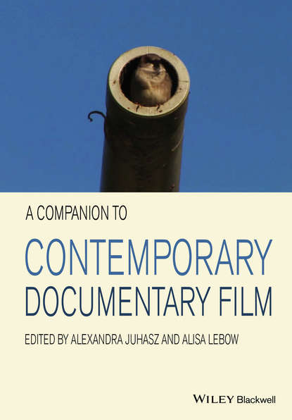 Скачать книгу A Companion to Contemporary Documentary Film