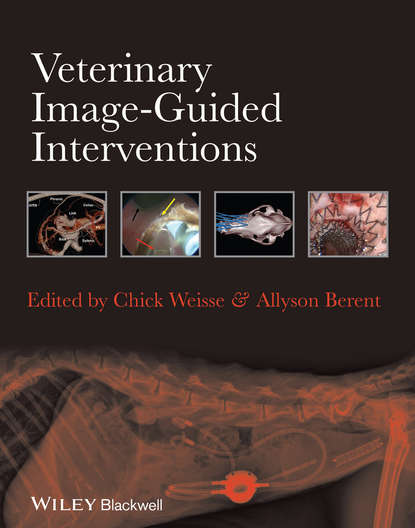 Скачать книгу Veterinary Image-Guided Interventions