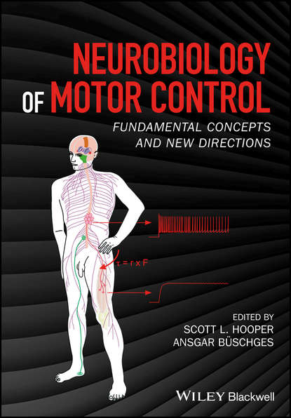 Скачать книгу Neurobiology of Motor Control. Fundamental Concepts and New Directions
