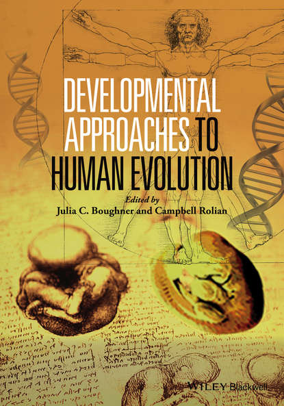 Скачать книгу Developmental Approaches to Human Evolution