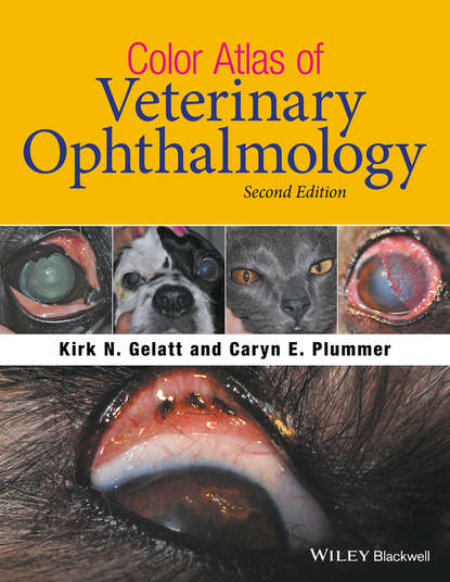 Скачать книгу Color Atlas of Veterinary Ophthalmology