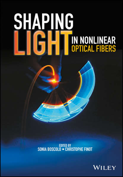 Скачать книгу Shaping Light in Nonlinear Optical Fibers