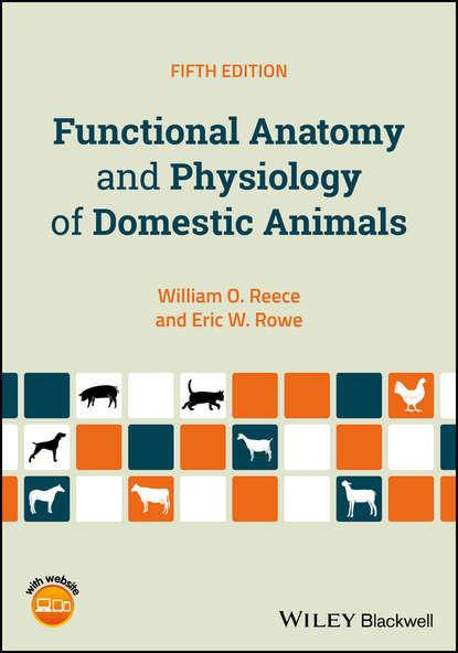 Скачать книгу Functional Anatomy and Physiology of Domestic Animals