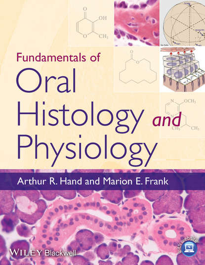 Скачать книгу Fundamentals of Oral Histology and Physiology