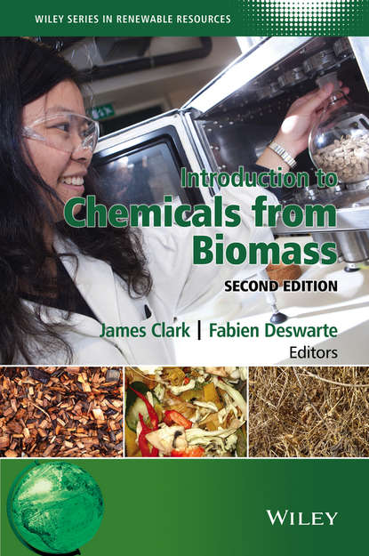 Скачать книгу Introduction to Chemicals from Biomass