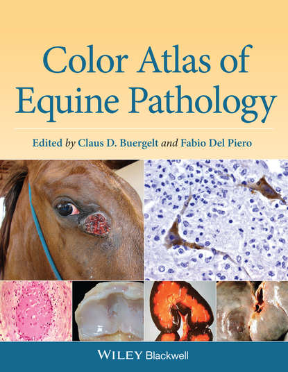 Скачать книгу Color Atlas of Equine Pathology