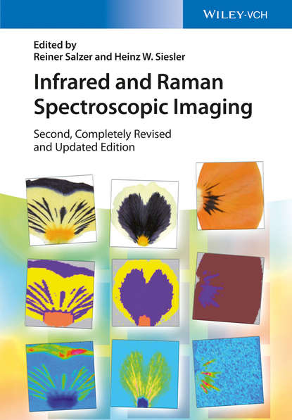 Скачать книгу Infrared and Raman Spectroscopic Imaging