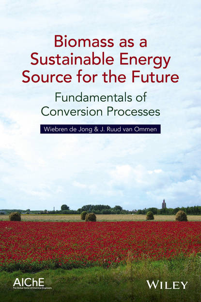 Скачать книгу Biomass as a Sustainable Energy Source for the Future. Fundamentals of Conversion Processes