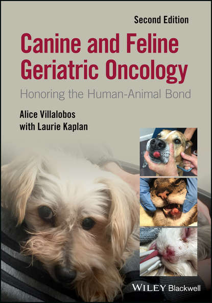 Скачать книгу Canine and Feline Geriatric Oncology. Honoring the Human-Animal Bond