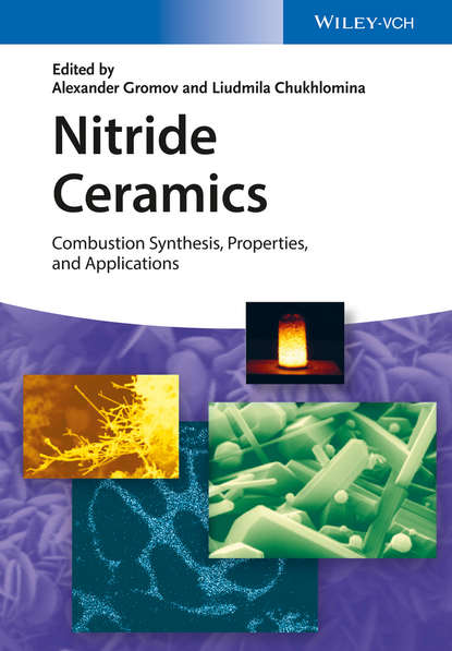 Скачать книгу Nitride Ceramics. Combustion Synthesis, Properties and Applications