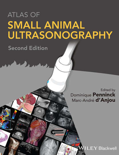 Скачать книгу Atlas of Small Animal Ultrasonography