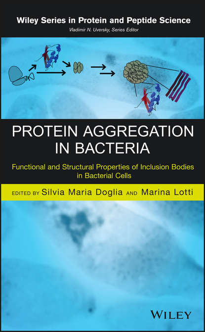 Скачать книгу Protein Aggregation in Bacteria. Functional and Structural Properties of Inclusion Bodies in Bacterial Cells